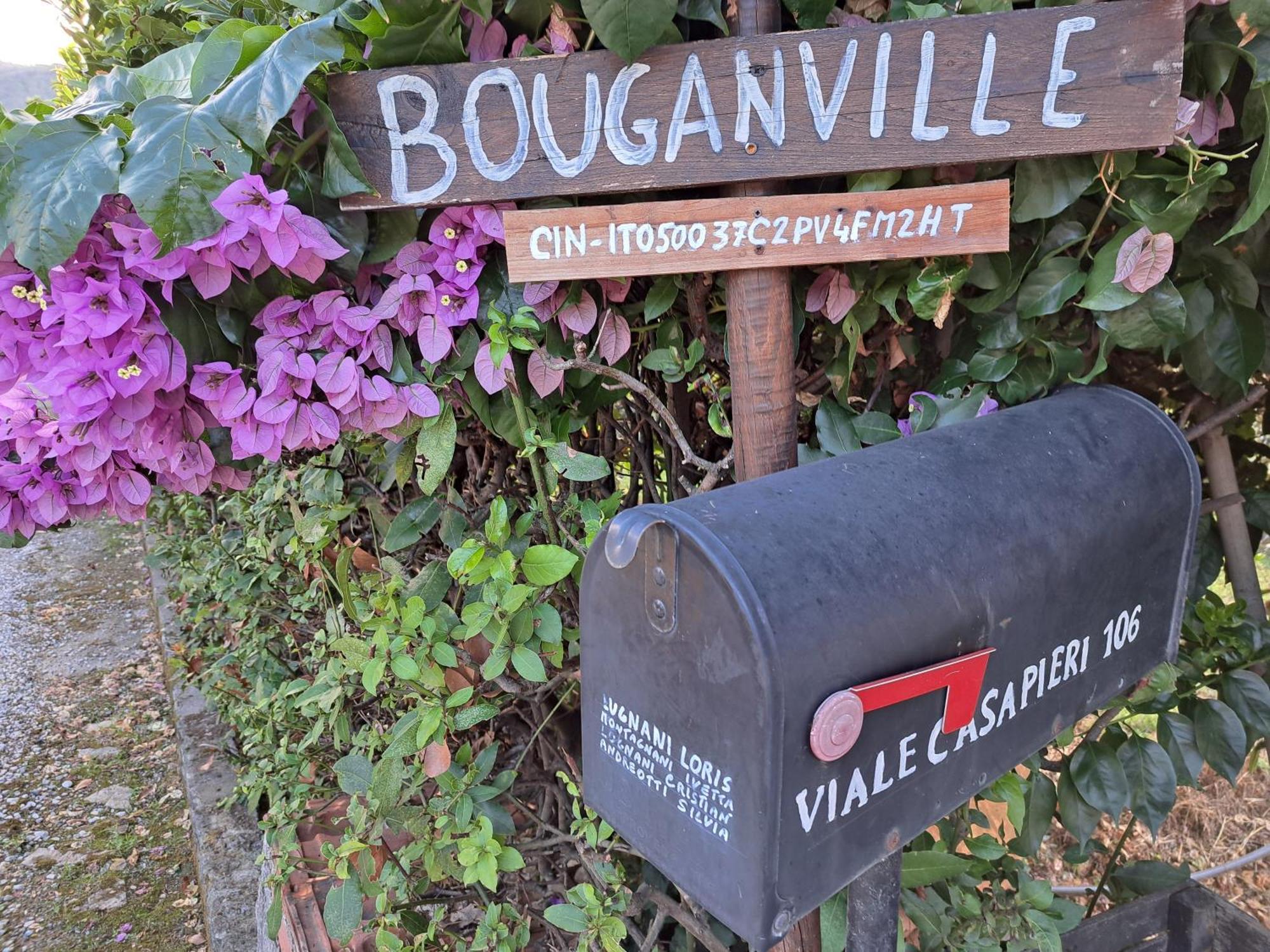 Casa Vacanze “Bouganville” Loc Avane Pisa Веккьяно Экстерьер фото